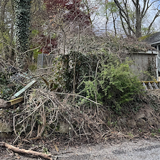 Seasonal-Brush-Clean-Up 0